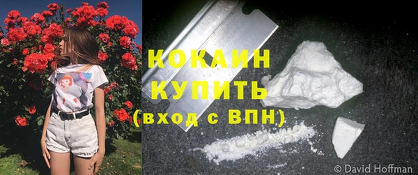 гидропоника Бородино