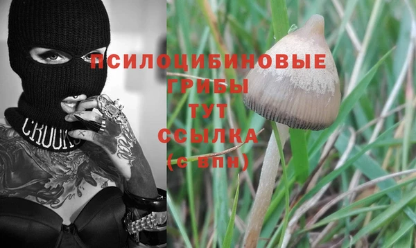 гидропоника Бородино