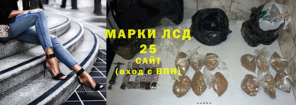гидропоника Бородино