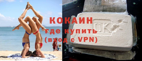 гидра Богданович