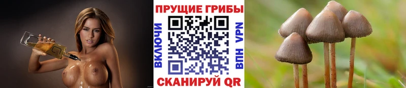 это телеграм  кракен ССЫЛКА  Минеральные Воды  Псилоцибиновые грибы GOLDEN TEACHER 